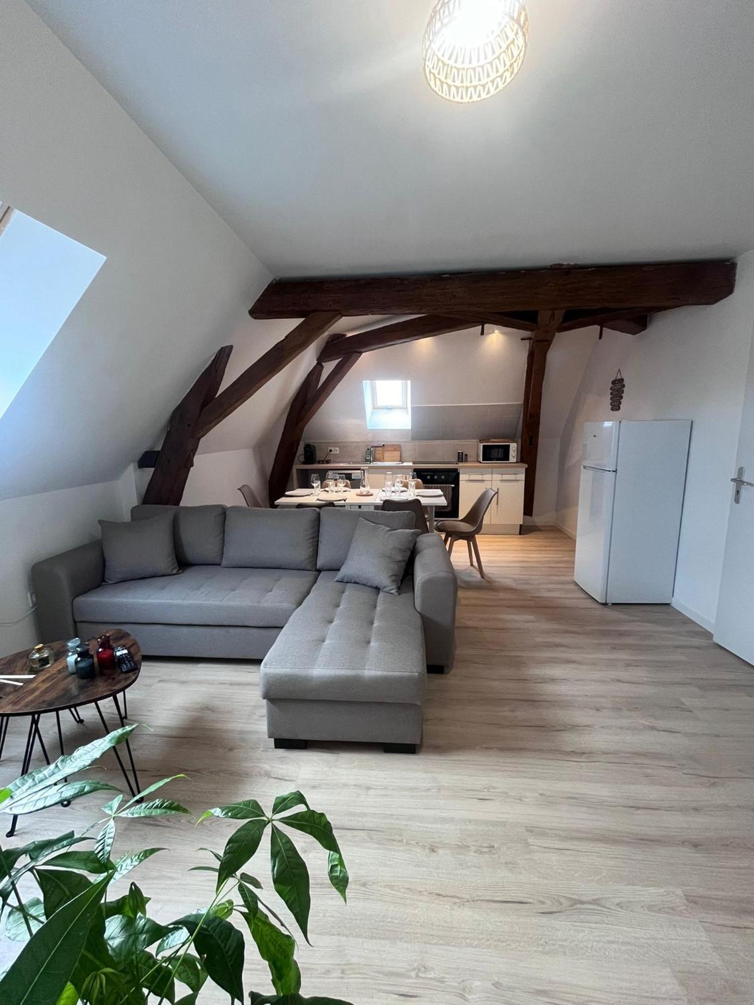 L'Evasion Urbaine - Parking Gratuit - Entree Autonome - Wifi Appartement Châtellerault Buitenkant foto